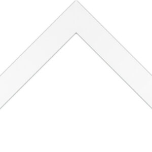 305-755 - 1 1/4" White Flat