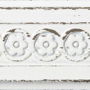Crazy Daisy CDWT WHITE OVER 3021